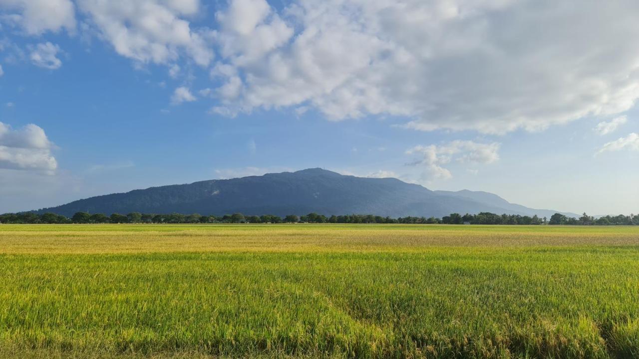 Ea Homestay Lembah Bujang Merbok Bedung Exteriör bild