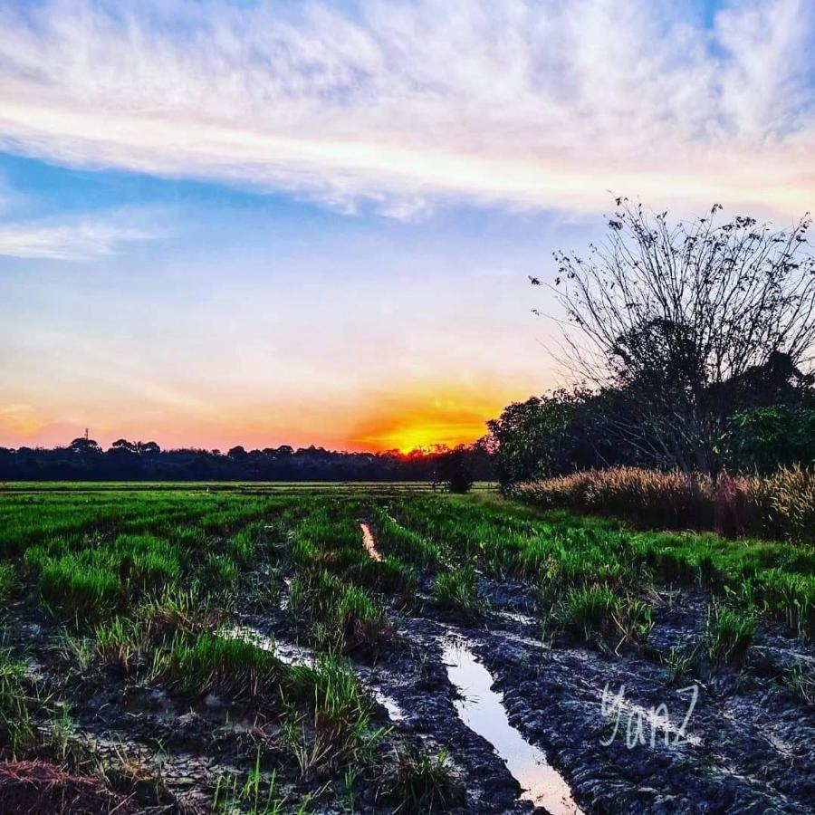 Ea Homestay Lembah Bujang Merbok Bedung Exteriör bild
