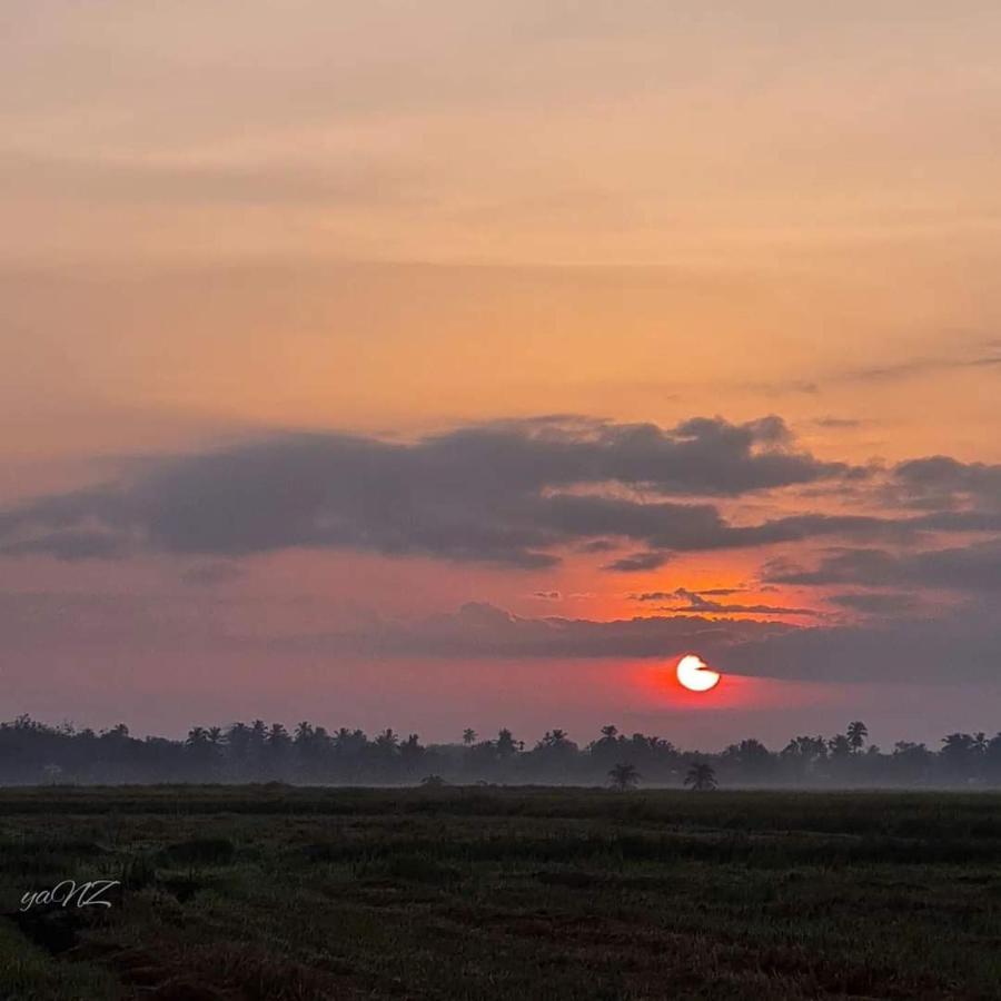 Ea Homestay Lembah Bujang Merbok Bedung Exteriör bild