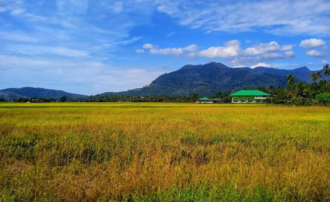 Ea Homestay Lembah Bujang Merbok Bedung Exteriör bild