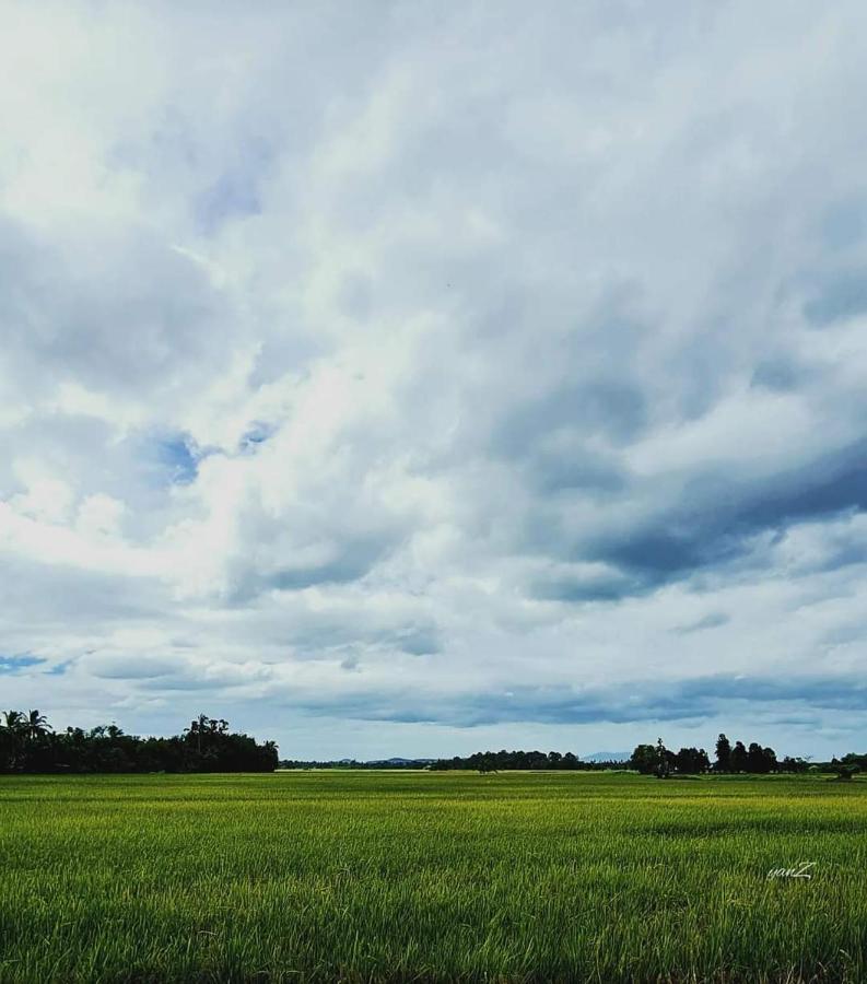 Ea Homestay Lembah Bujang Merbok Bedung Exteriör bild